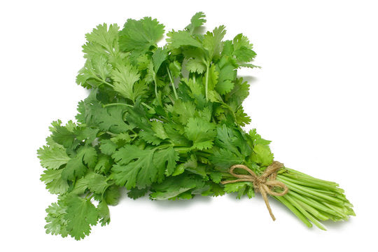 coriander ( Kothmir )