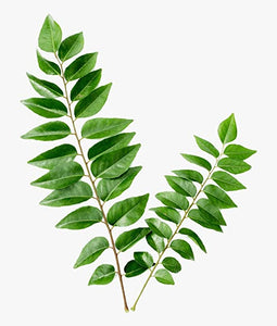 Curry leaves (Kari patta)