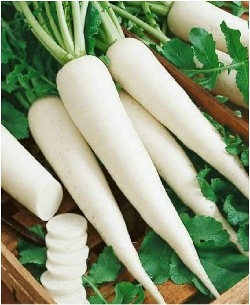 Radish (mooli)