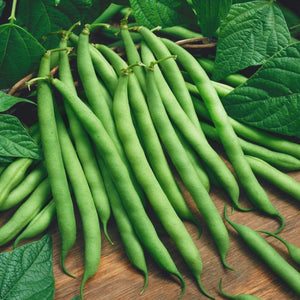 French Beans