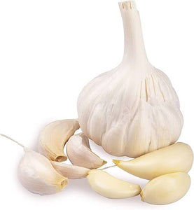 Garlic Fresh