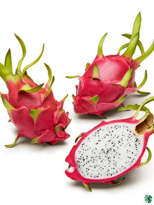 Dragon Fruit