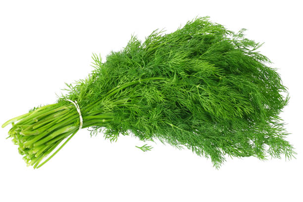 Dill leave (soya bhaji)