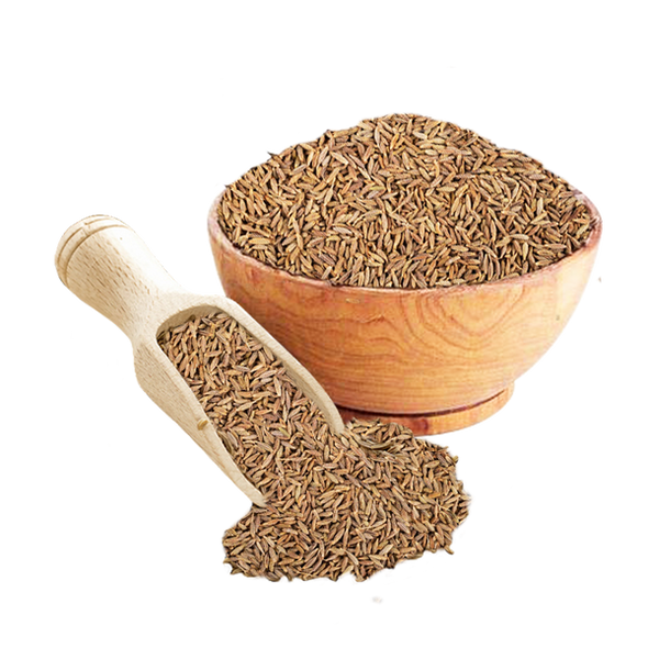 Cumin Seeds ( Jeera )