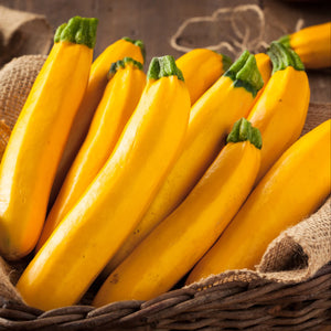 Yellow Zucchini 2 Pcs